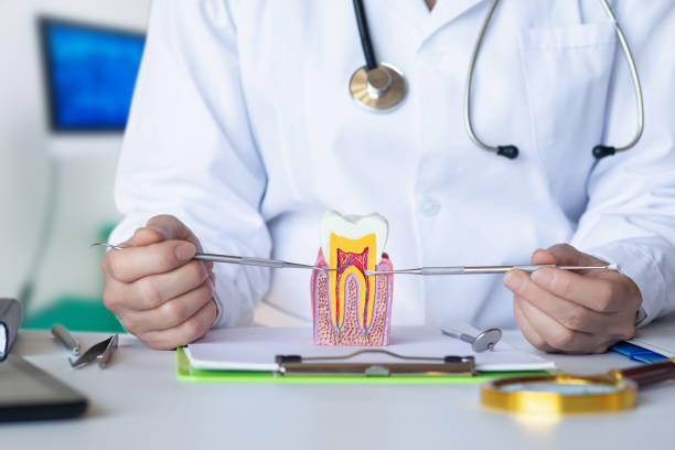 Best Emergency Root Canal Therapy in Carroll, IA